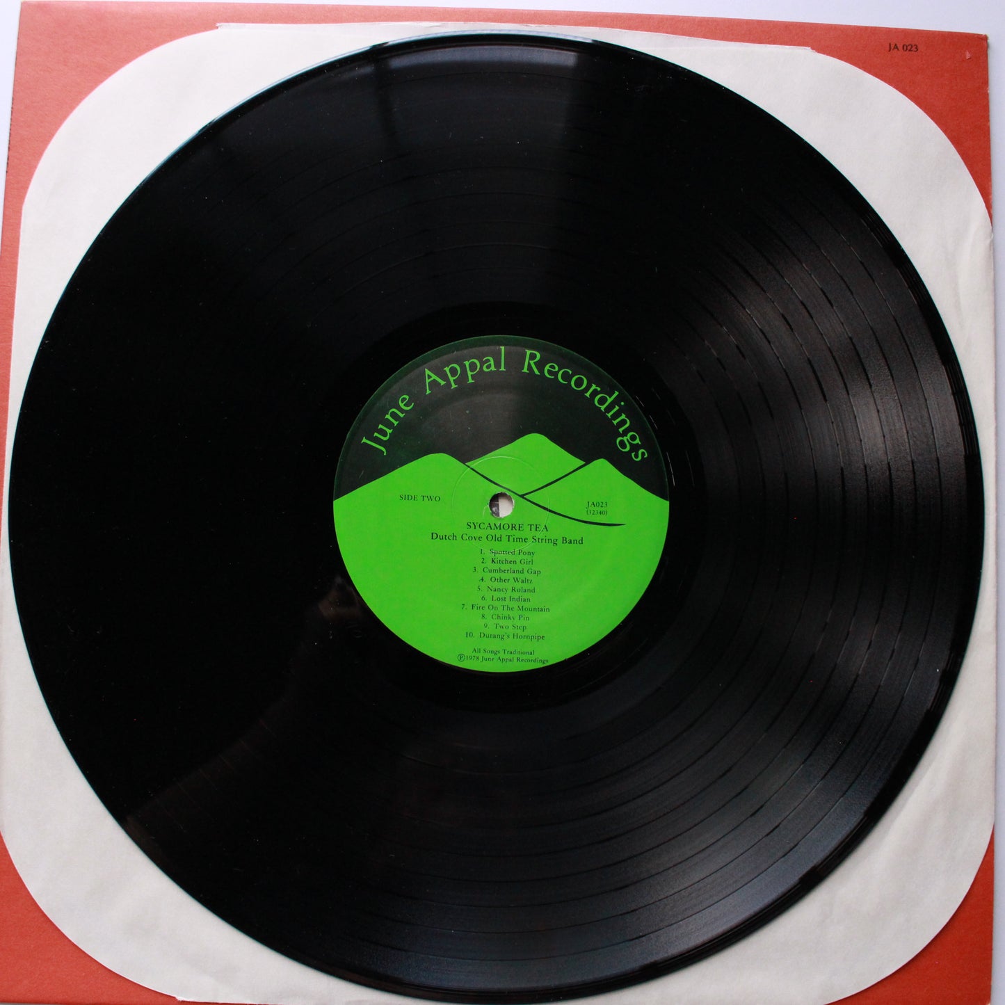 Dutch Cove Old Time String Band : Sycamore Tea (LP,Album)
