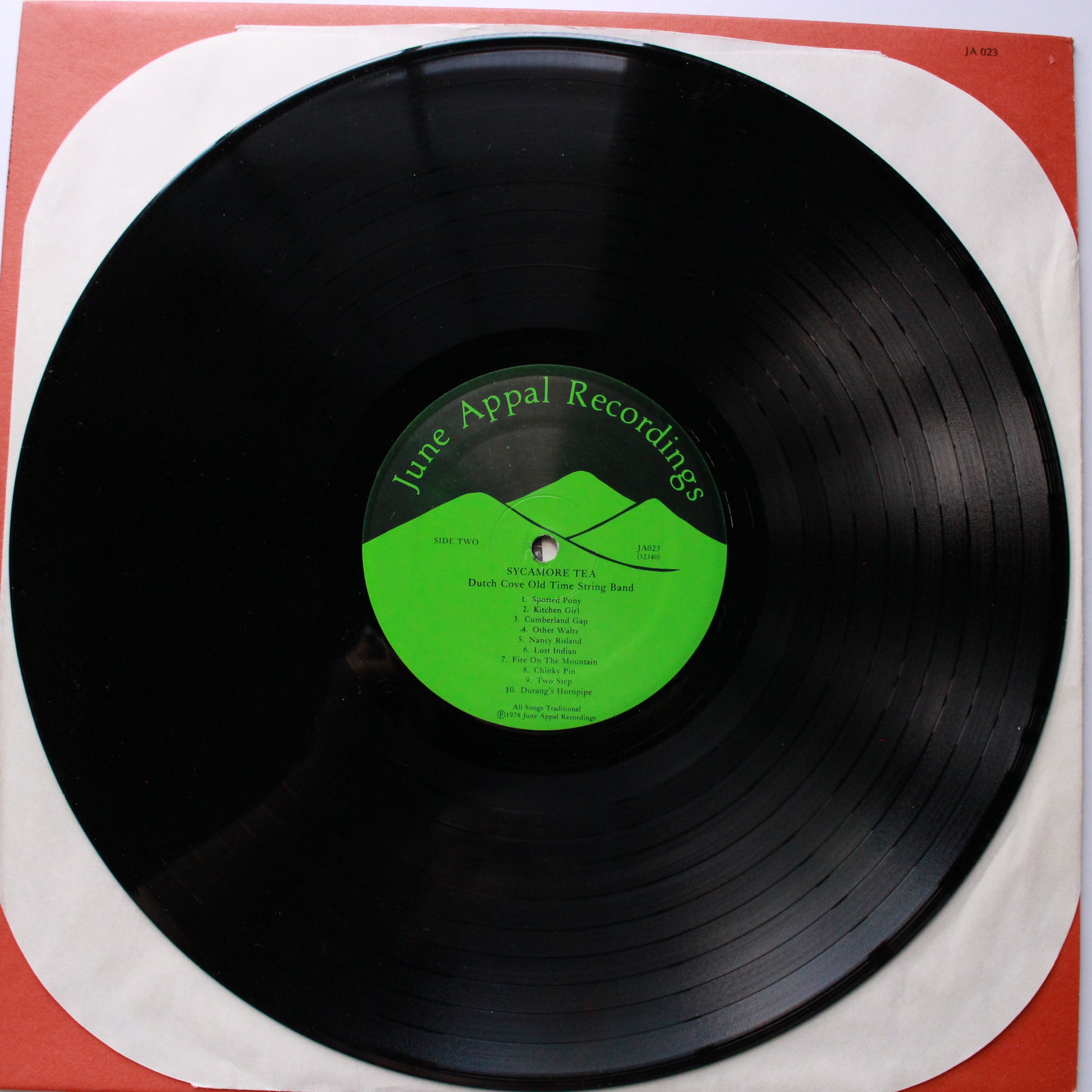 Dutch Cove Old Time String Band : Sycamore Tea (LP,Album)