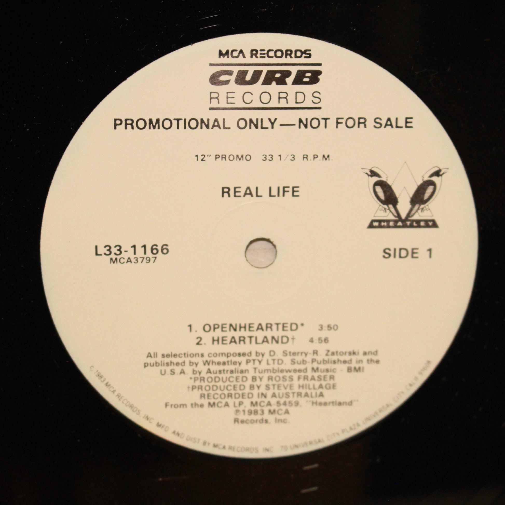 Real Life : Send Me An Angel / Catch Me I'm Falling (12",33 ⅓ RPM,Promo)