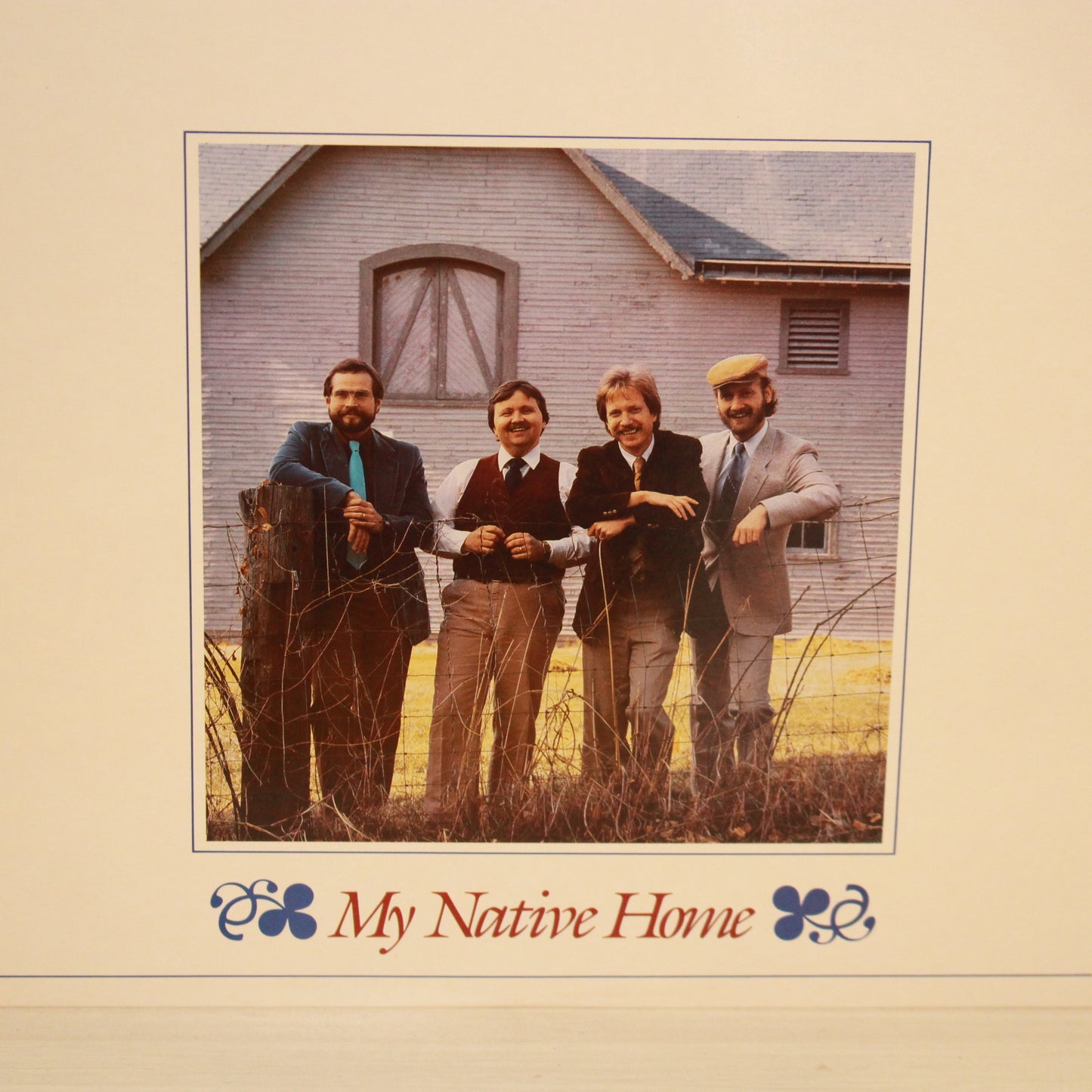 The Nashville Bluegrass Band : My Native Home (LP,Album)