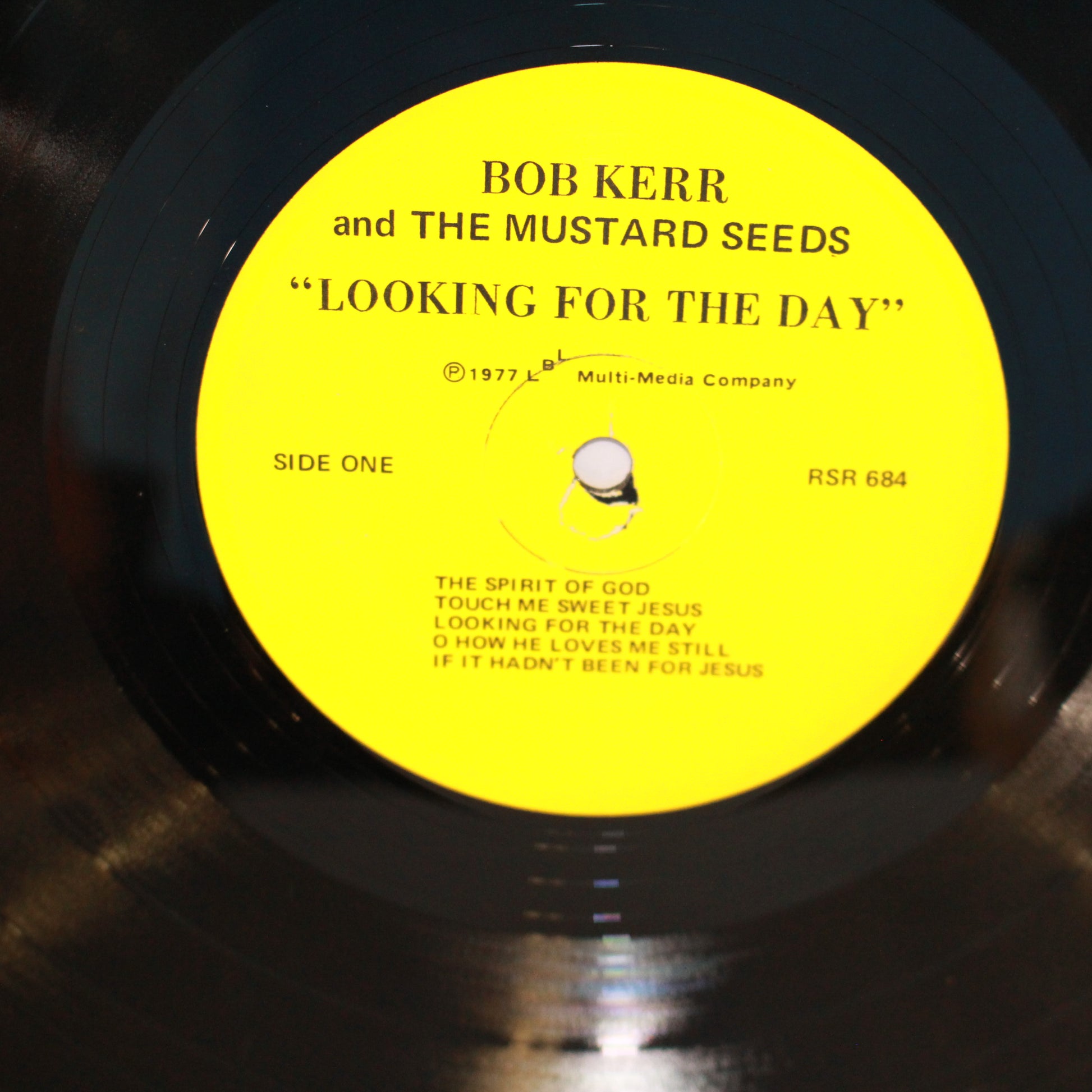 Bob Kerr And The Mustard Seeds : Looking For The Day (LP)