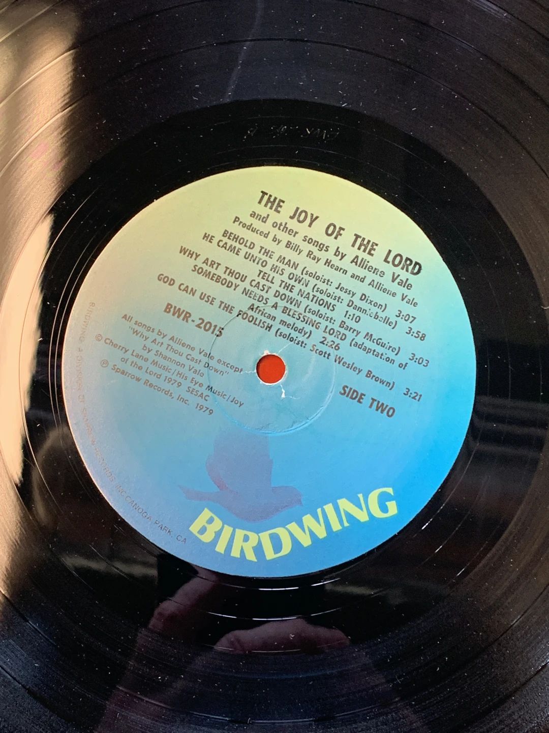Alliene Vale – The Joy Of The Lord (1979, Birdwing Records)