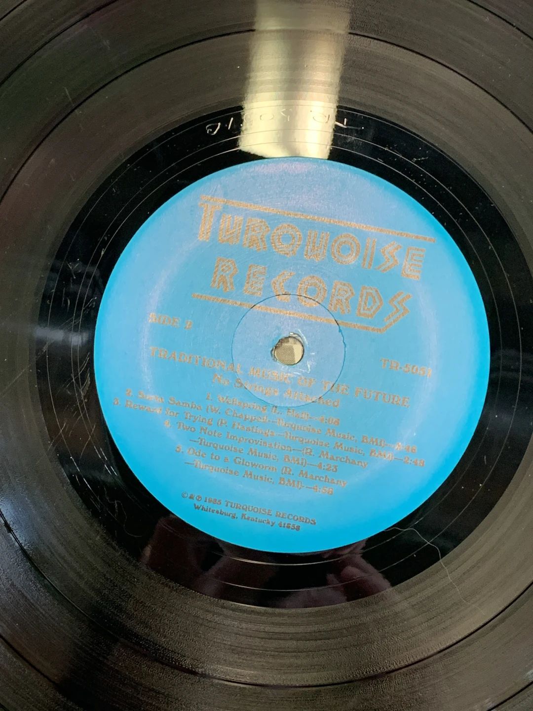 No Strings Attached – Traditional Music Of The Future (1985, Turquoise Records)