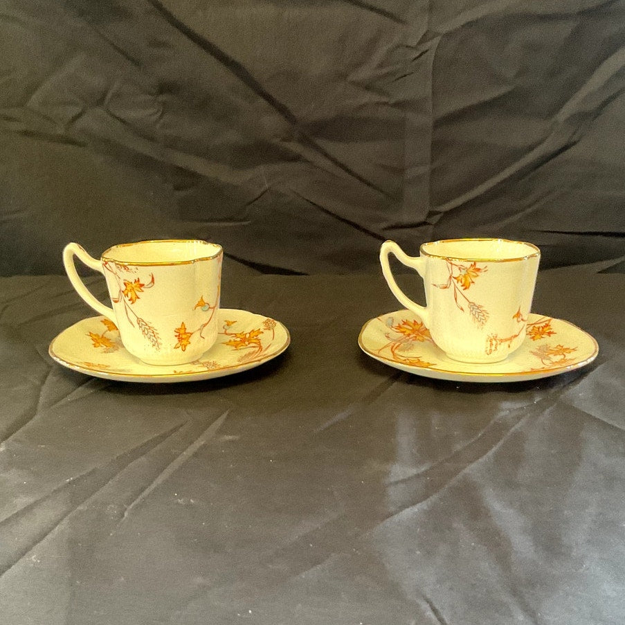 Vintage Fine Bone China Footed Tea Cup & Saucer - Set of 2