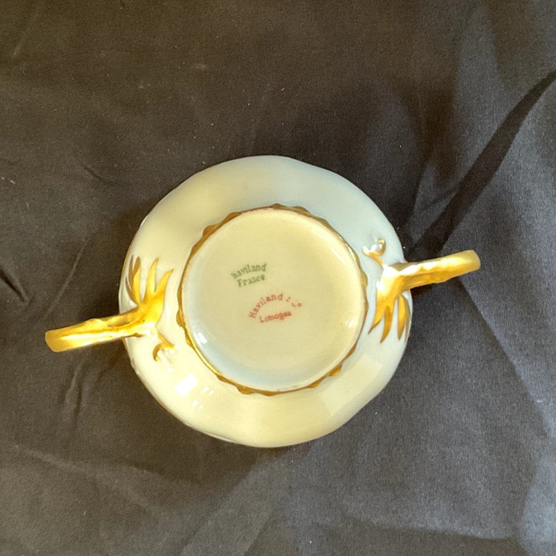 Haviland & Co. Limoges Gilded Bullion Cup & Saucer circa 1900s