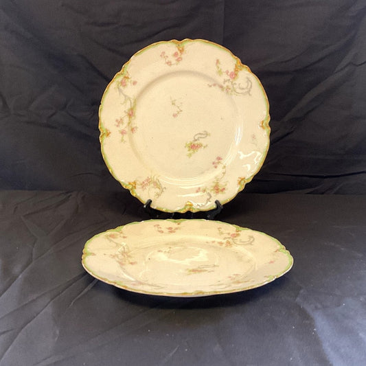 Haviland & Co. Limoges Salad Plates - Set of 2