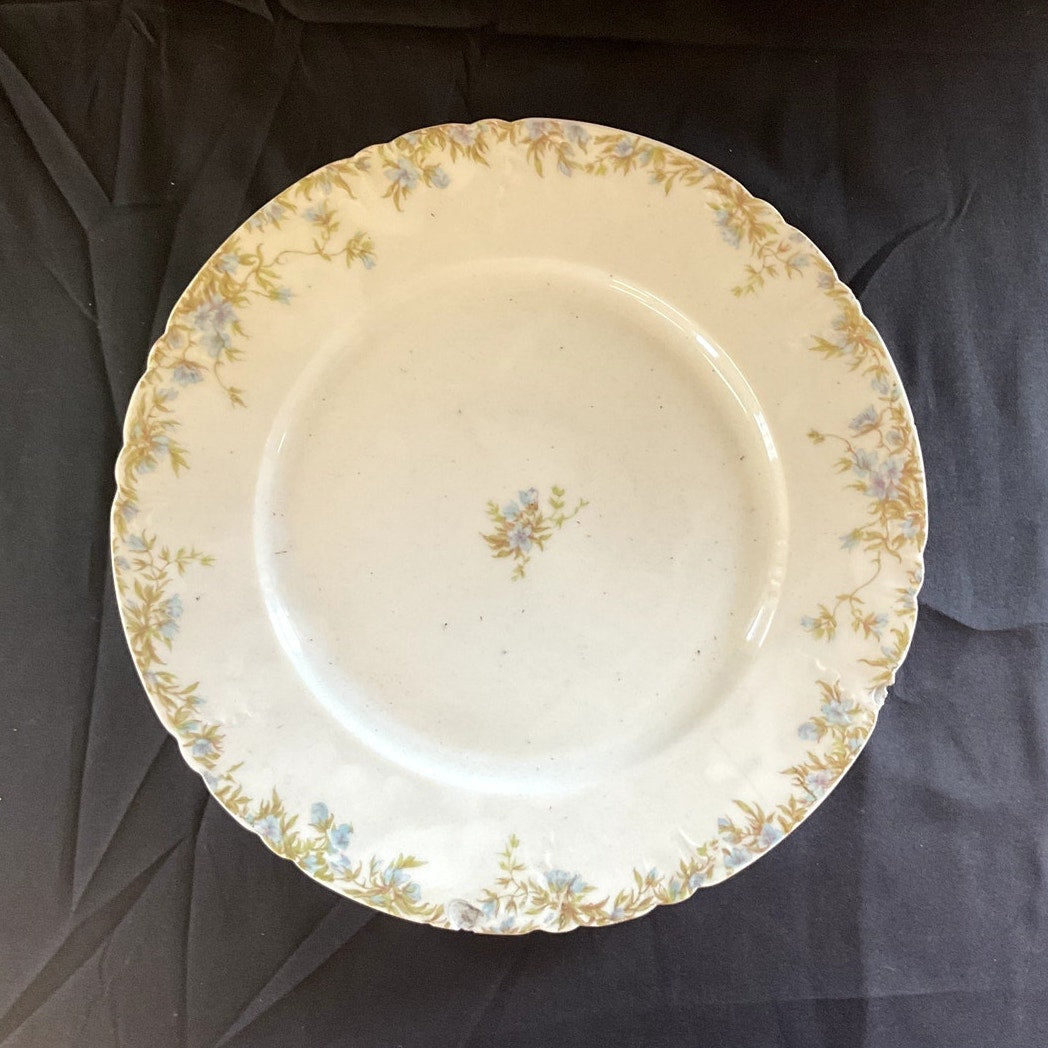 Antique C.H. Field Haviland Limoges Plates - Set of 2