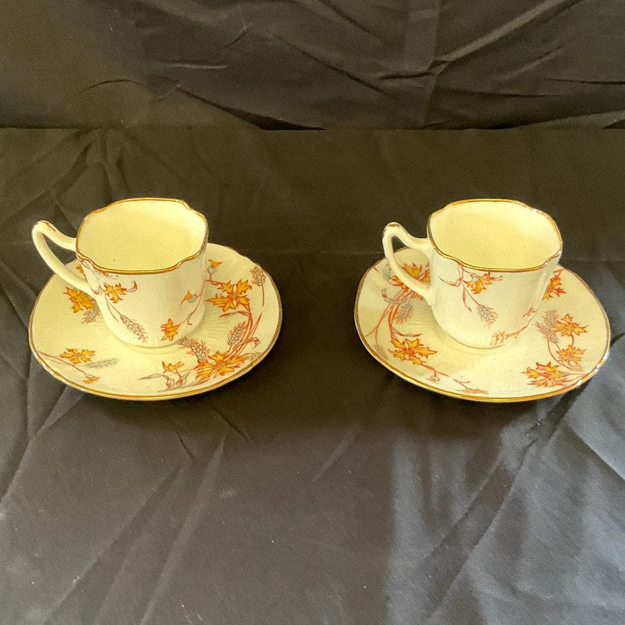 Vintage Fine Bone China Footed Tea Cup & Saucer - Set of 2