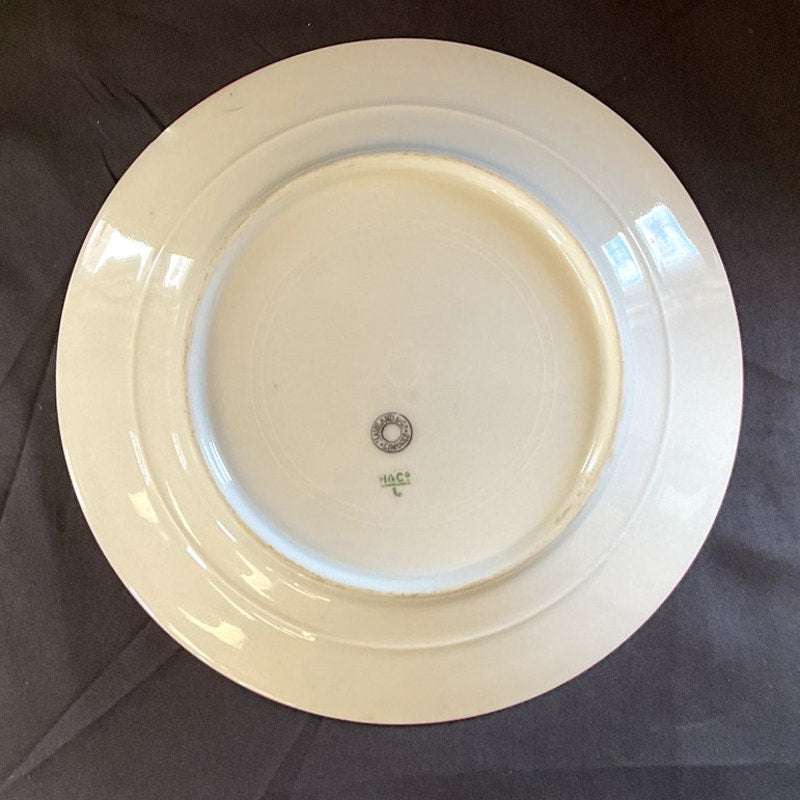 Antique Haviland Limoges Rose Pattern Luncheon Plates - Set of 12