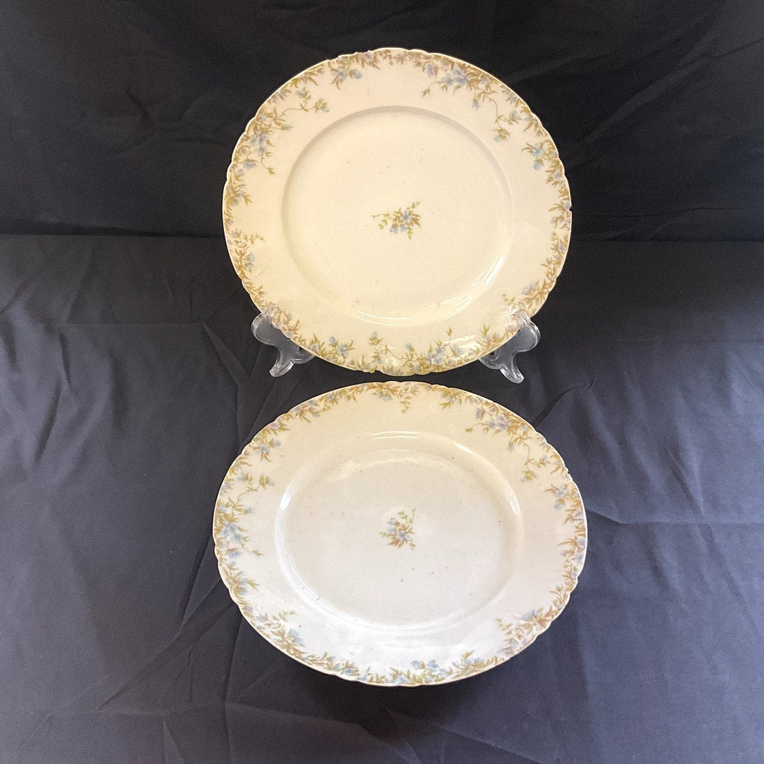 Antique C.H. Field Haviland Limoges Plates - Set of 2