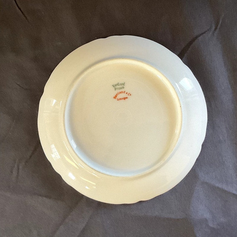 Haviland & Co. Limoges Gilded Bullion Cup & Saucer circa 1900s