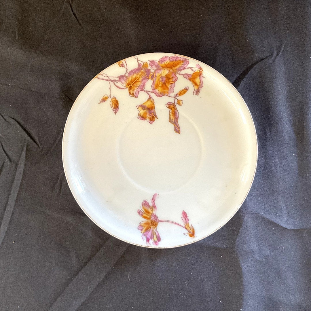 Rare Antique Bawo & Dotter Limoges Hand Painted Dessert Plate