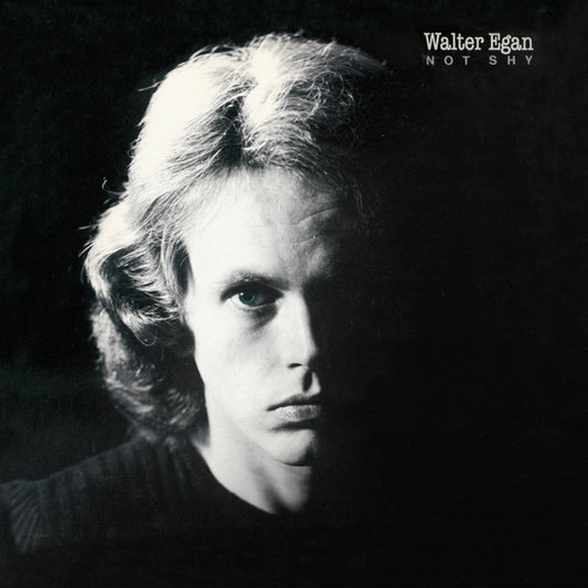 Walter Egan – Not Shy (1978, Columbia)