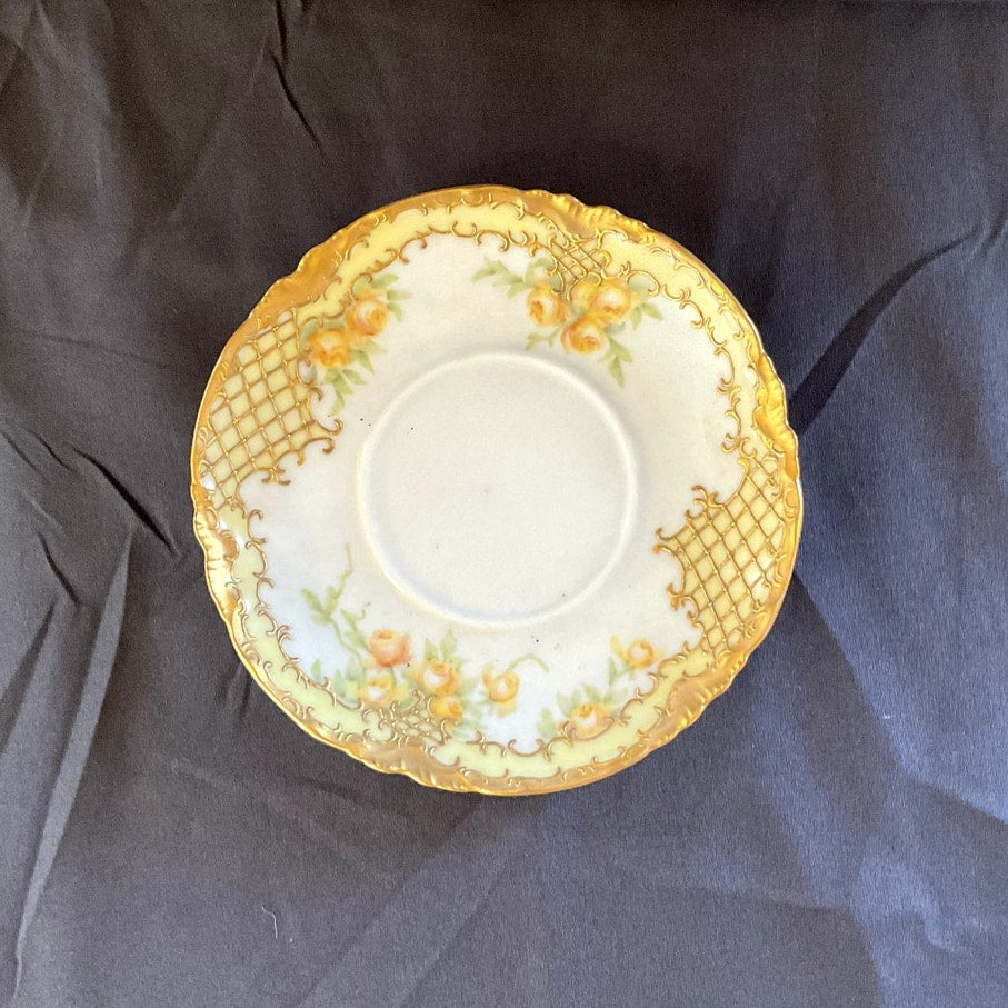 Antique Haviland & Co. Limoges Porcelain Teacup & Saucer