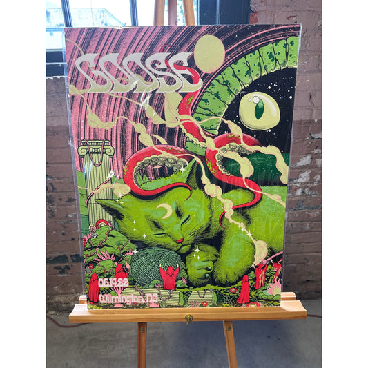 Goose 6/14/22 Wilmington Hisnameislou Poster