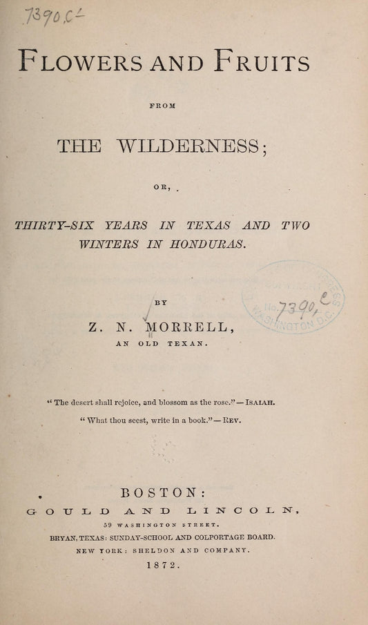 Stock cover image — see condition notes for actual item