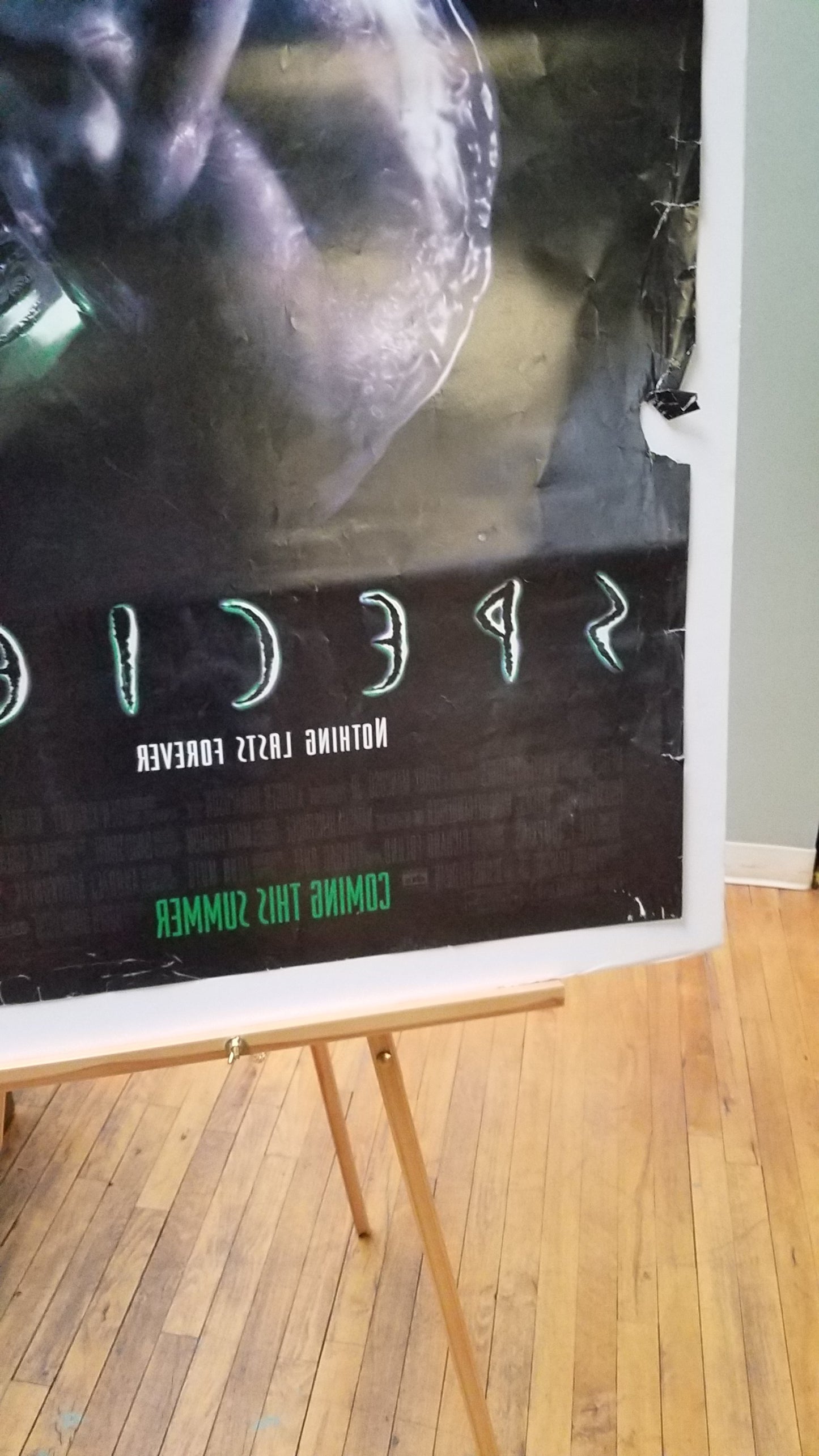 Species (1995) original movie poster - detail
