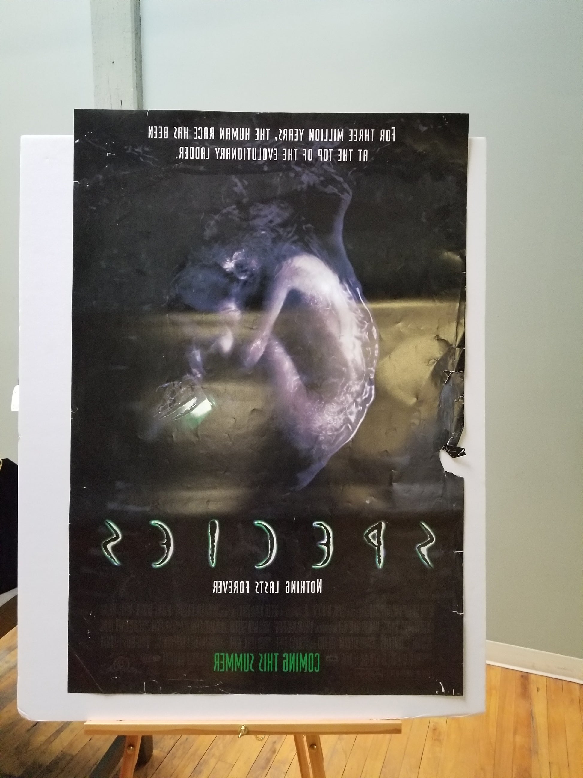 Species (1995) original movie poster - detail