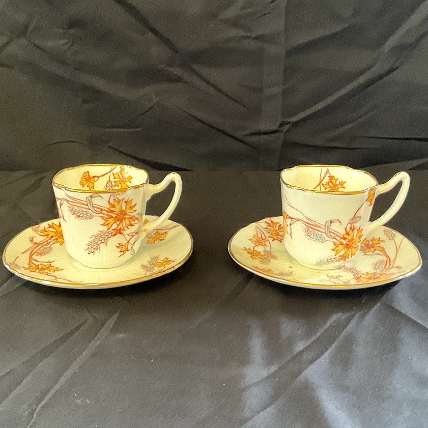 Vintage Fine Bone China Footed Tea Cup & Saucer - Set of 2