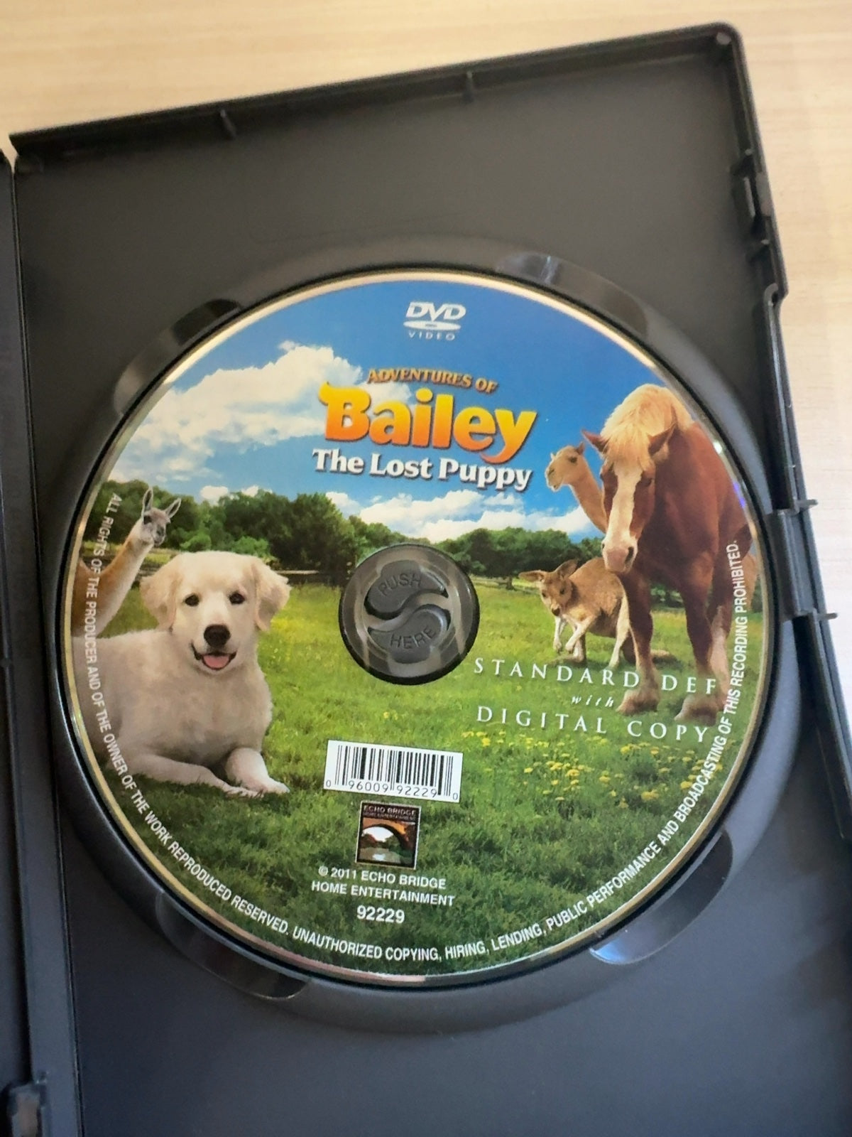 Adventures of Bailey: The Lost Puppy (DVD, ) Very Good