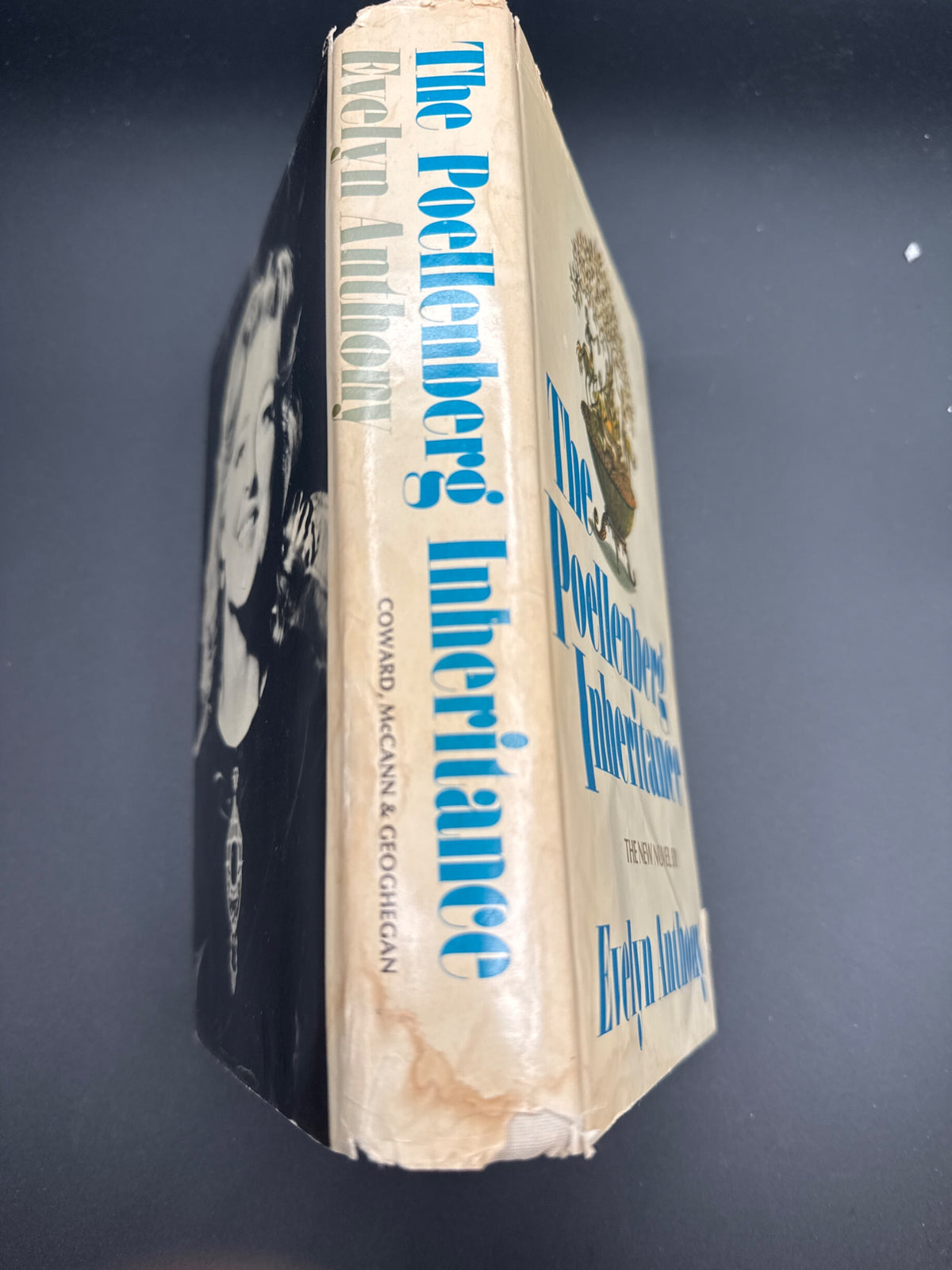 The Poellenberg inheritance Evelyn Anthony — spine
