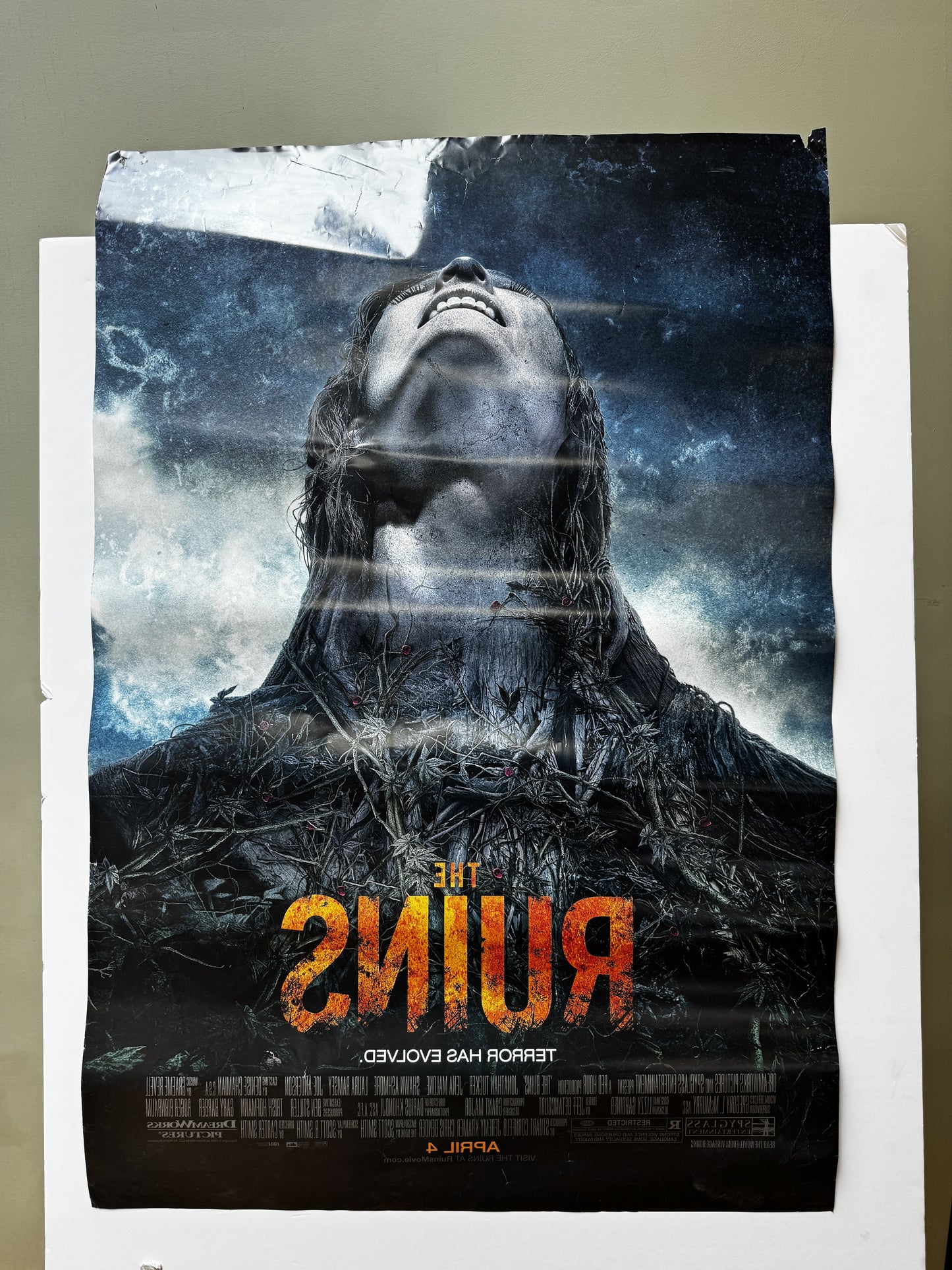 The Ruins (2008) original movie poster - detail