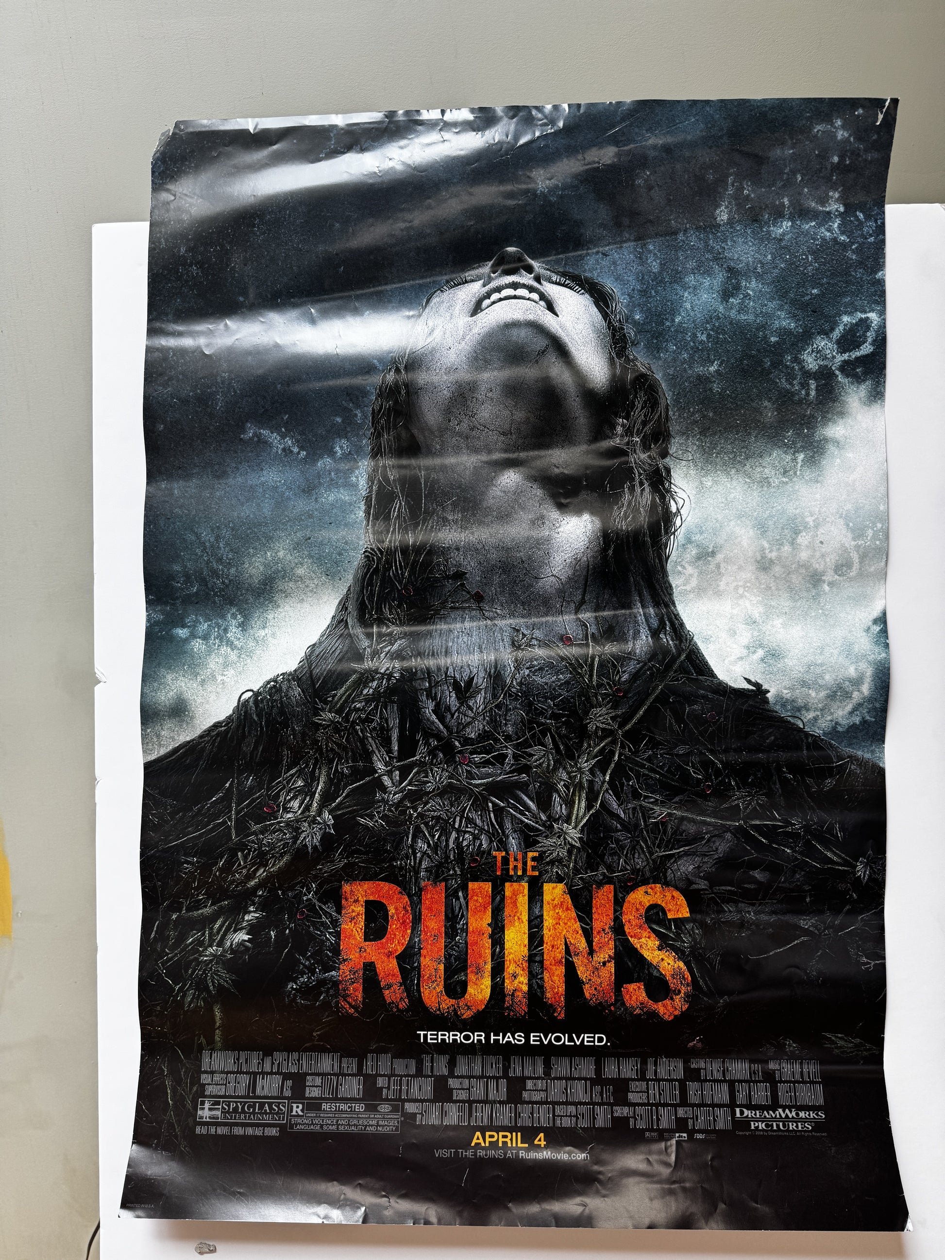 The Ruins (2008) original movie poster - front
