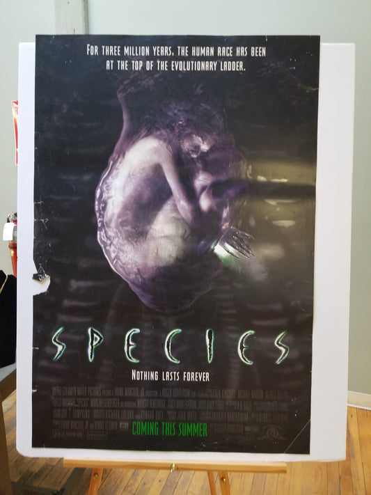 Species (1995) original movie poster - front