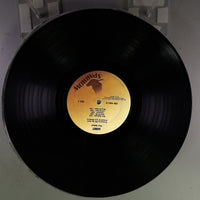 Side B Disc [record_b]