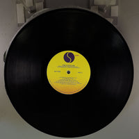 Side B Disc [record_b]