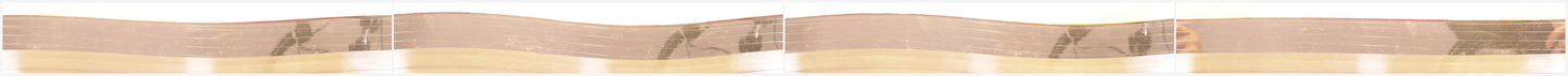 Side B Runout Bands [runout_b]