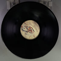 Side B Disc [record_b]