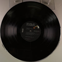 Side B Disc [record_b]