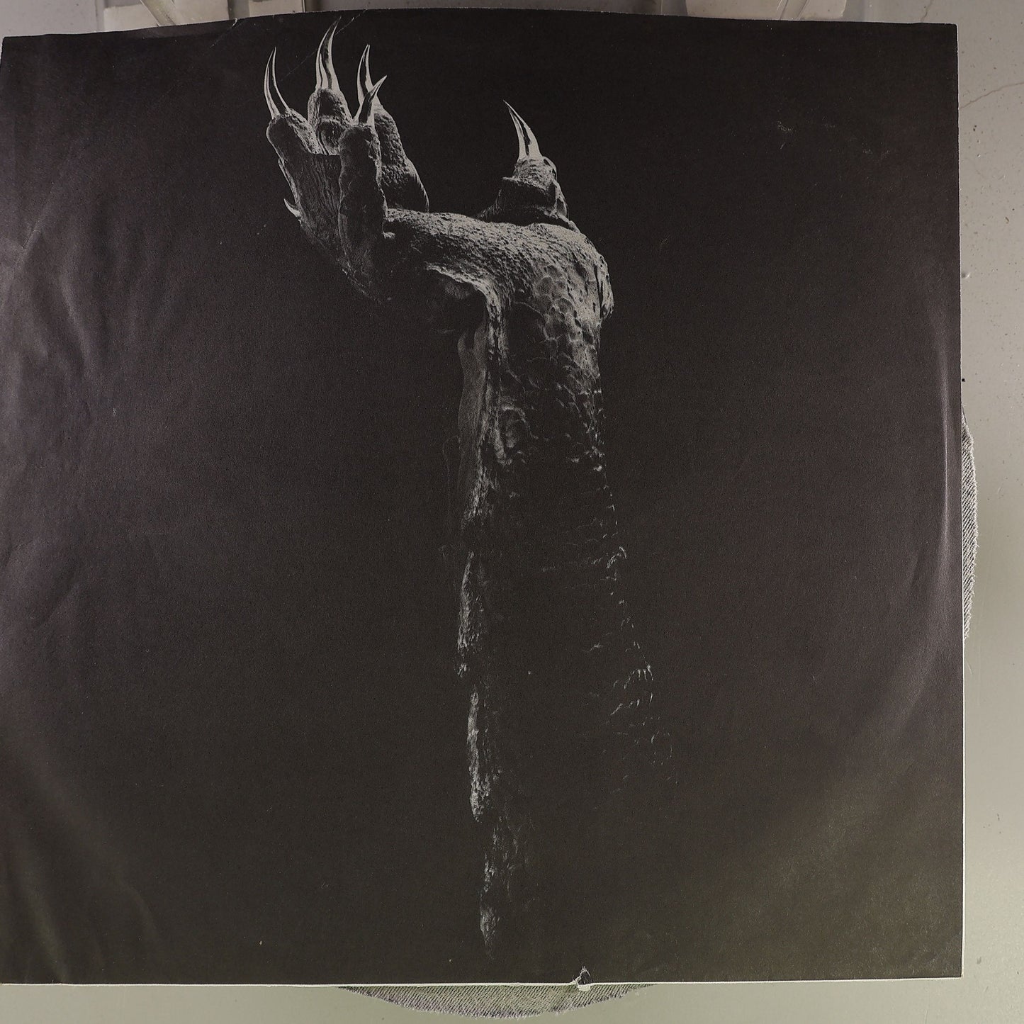 Inner Sleeve Front [inner_sleeve_front]