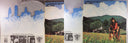 Gatefold Interior [gatefold]