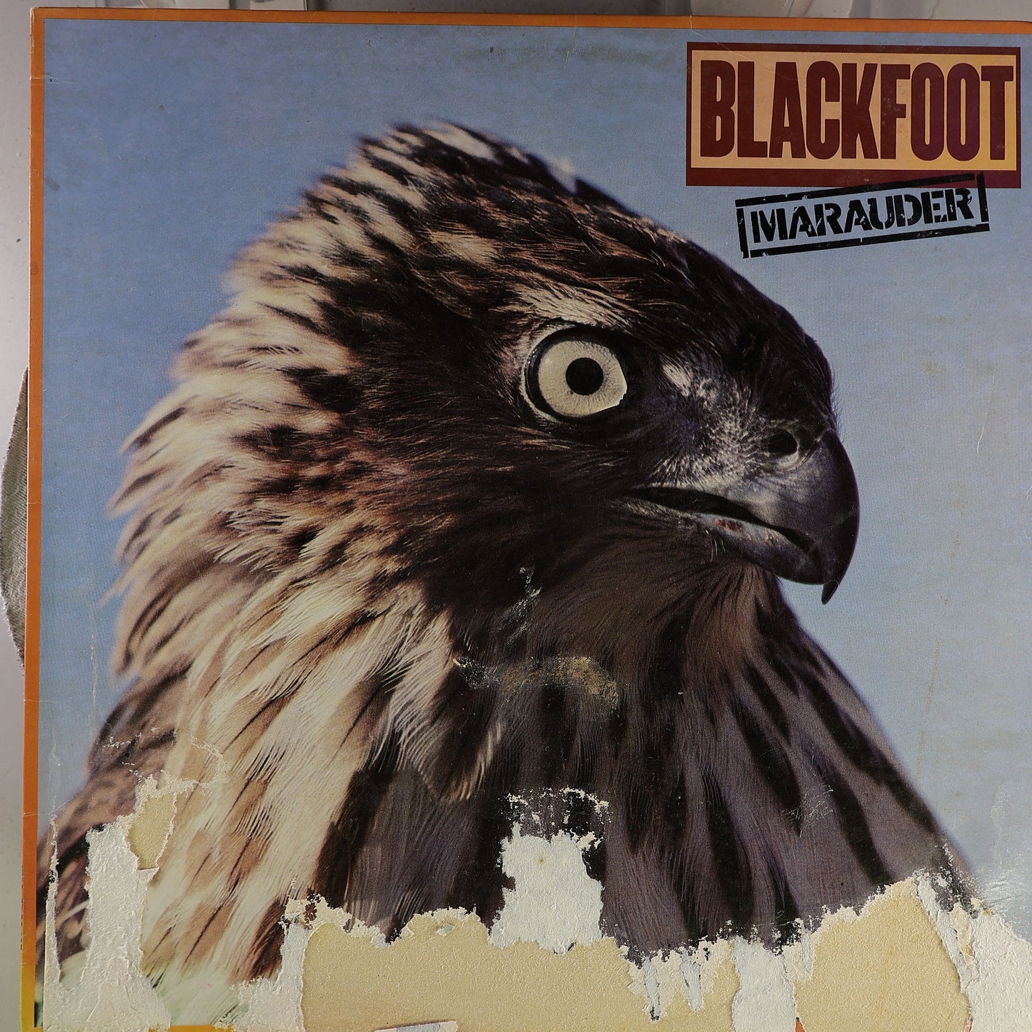 Front Cover [cover_front]