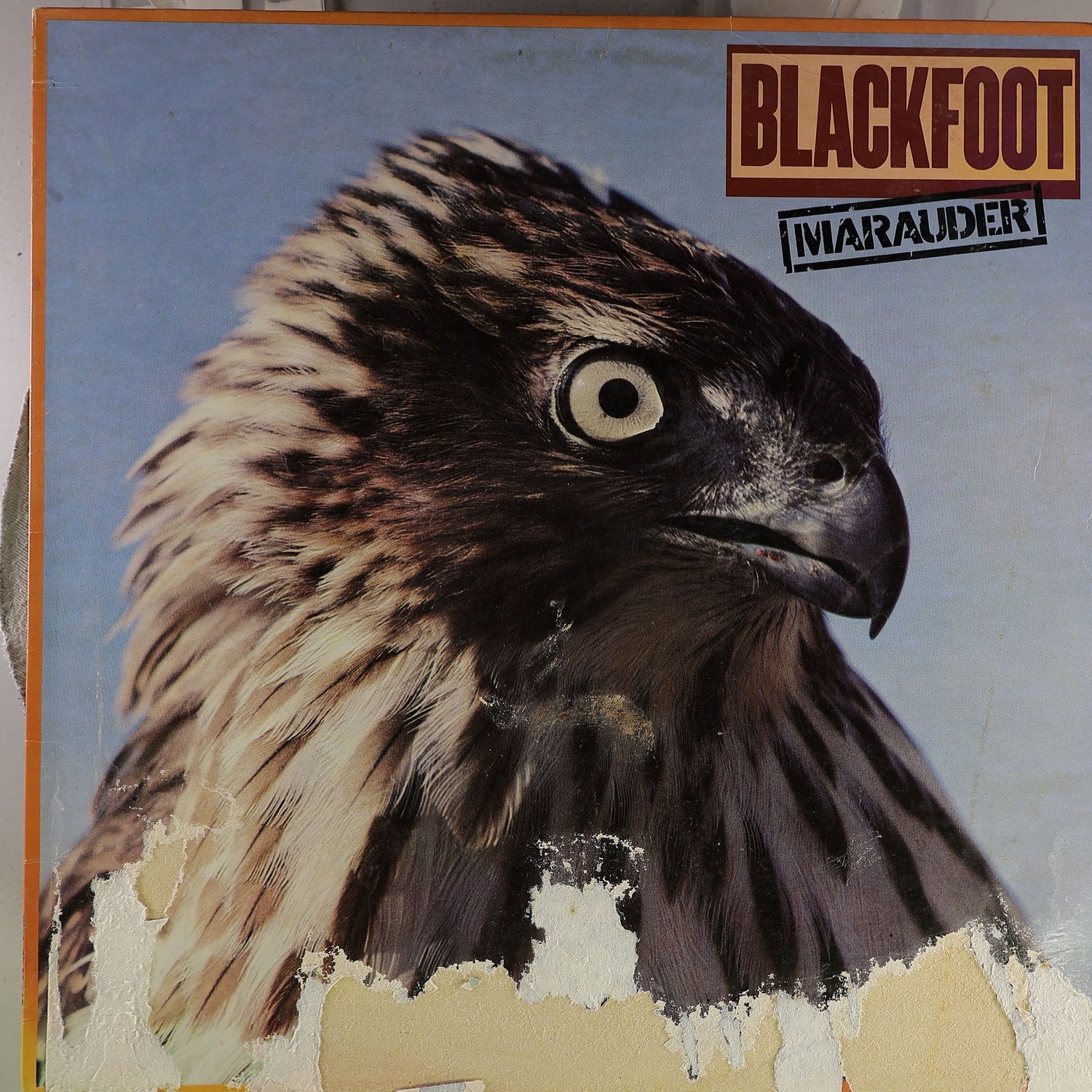 Front Cover [cover_front]