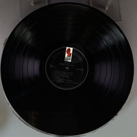 Side B Disc [record_b]