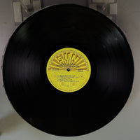 Side B Disc [record_b]