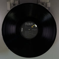 Side B Disc [record_b]