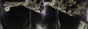 Gatefold Interior [gatefold]