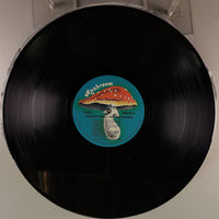 Side B Disc [record_b]