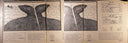 Gatefold Interior [gatefold]