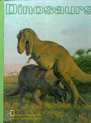 Stock cover image — see condition notes for actual item